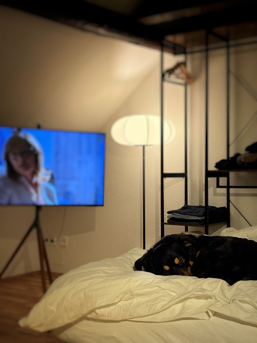 Dunkles Hundekuscheln auf dem Bett im Schlafzimmer, daneben ein Fernseher mit unscharfer Frau und eine warme Lampe.