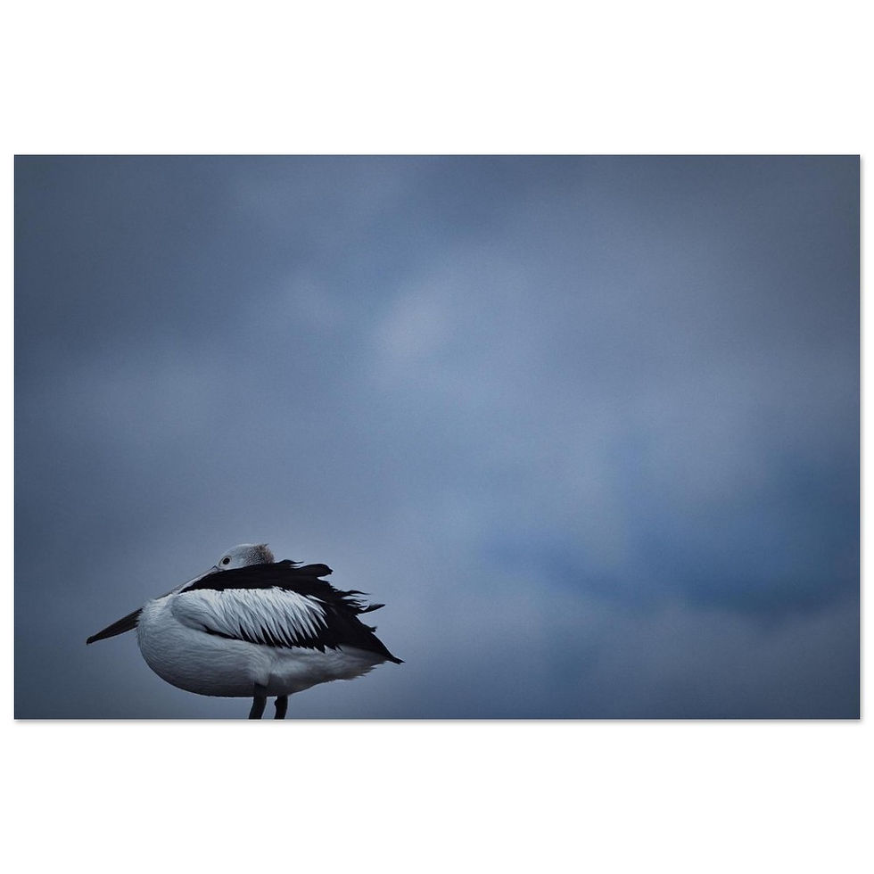 Vor dem Sturm - Fine Art Poster