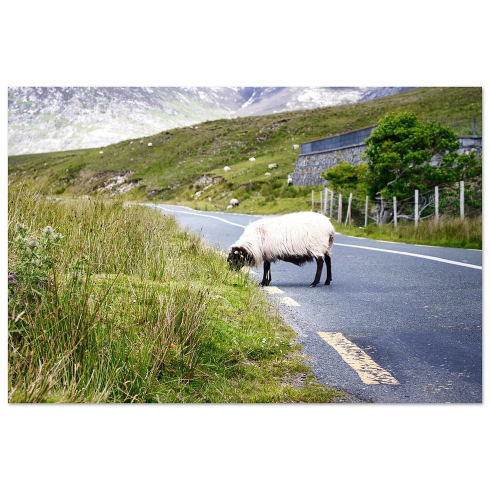 Die Hüter des Friedens - Fine Art Poster