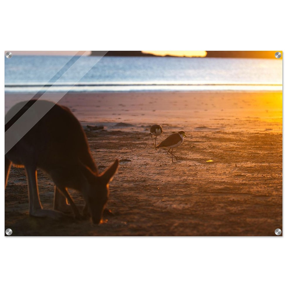 Silence of Distance - Premium Acryl Print