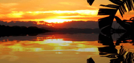 stream animated.gif