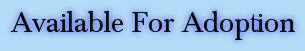Available 2.gif