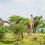 Thumbnail: Pictures of wild animals in the natural habitat ✨️ 