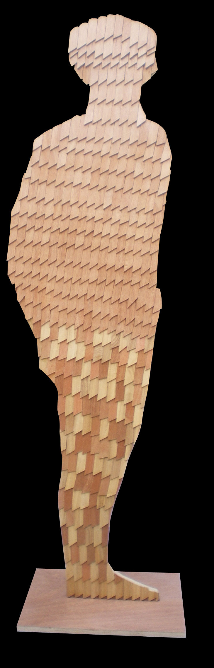 62-Silhouette+38x137+env.+(volume)