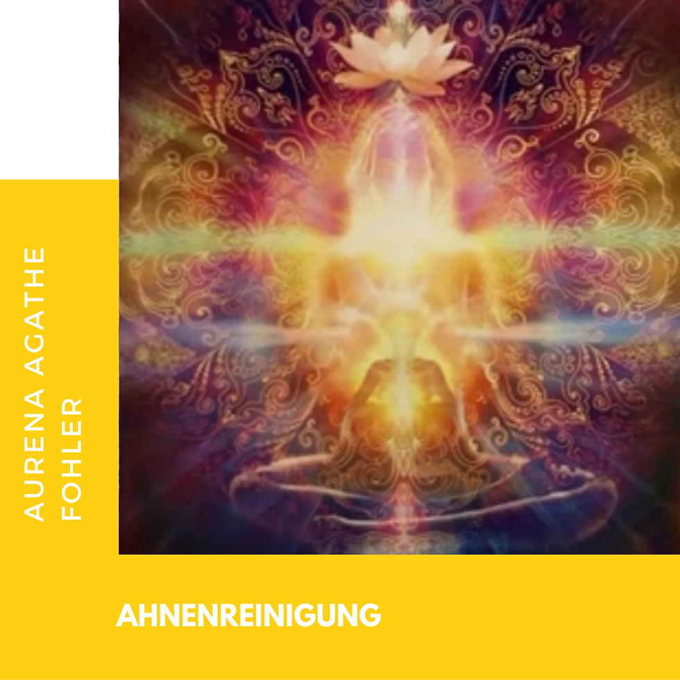 2 - Ahnenreinigung