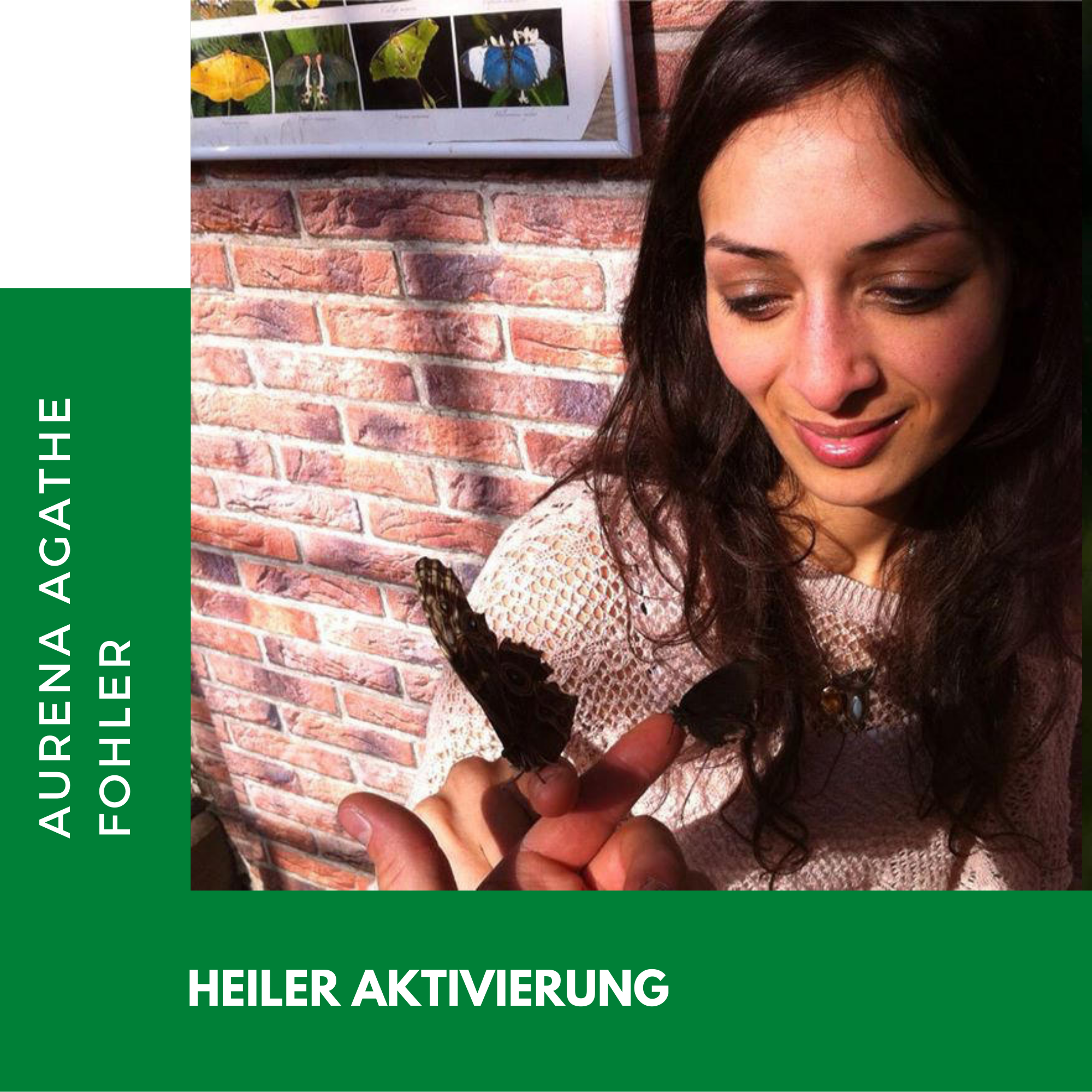 3 - Heiler-Aktivierung