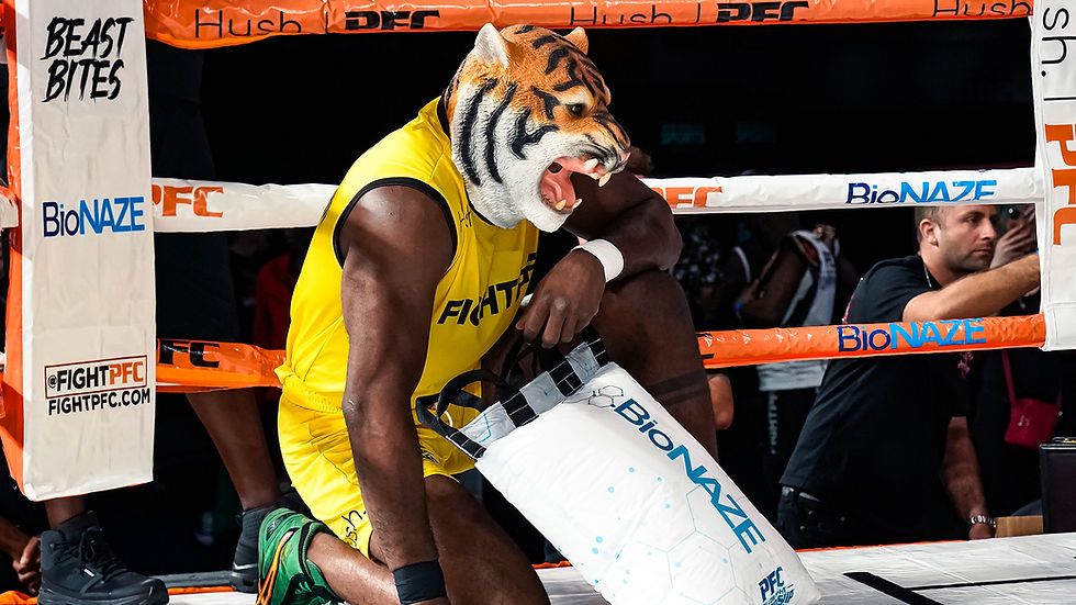 tiger.jpg