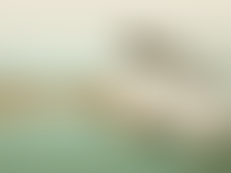 Introducing Glass Meadows Whole Flower: Sun-Grown In New Jersey