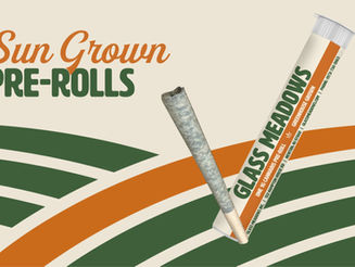 The Future Of Everyday Flower: Glass Meadows Sun-Grown Pre-Roll Cones Are Here