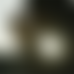 Guard What Matters Most: Finding Focus Through Prayer