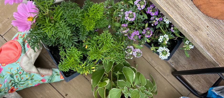 Kitchen Garden Recipes