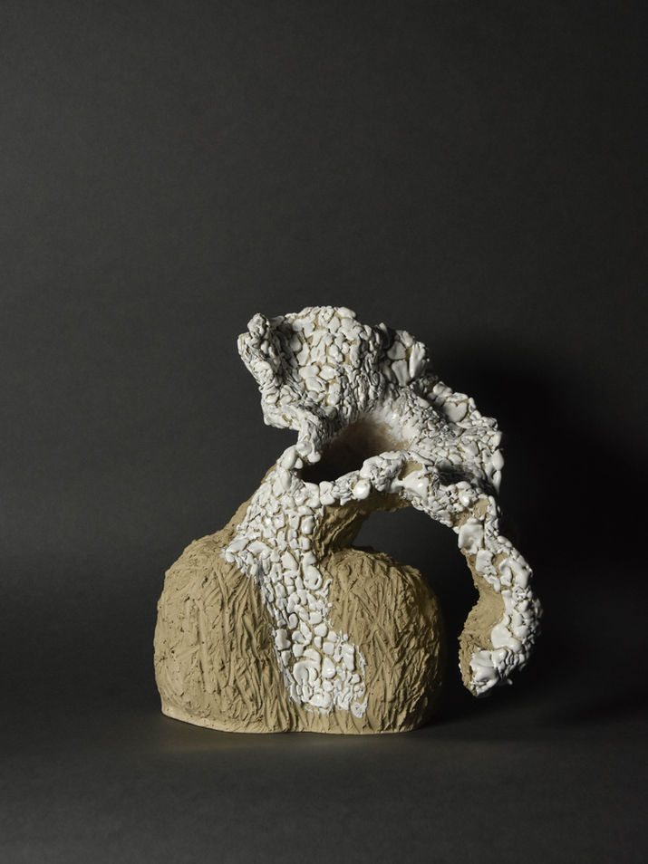 Frozen Vase