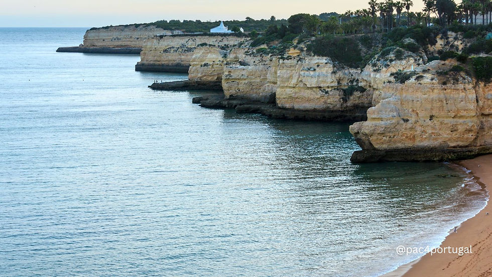 Praia da Cova Redonda