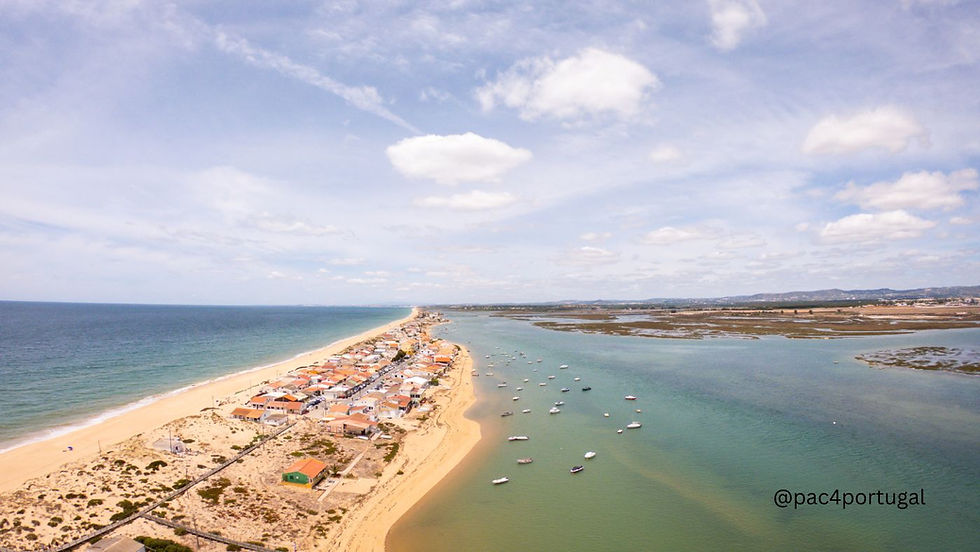 Praia de Faro Guide 2025