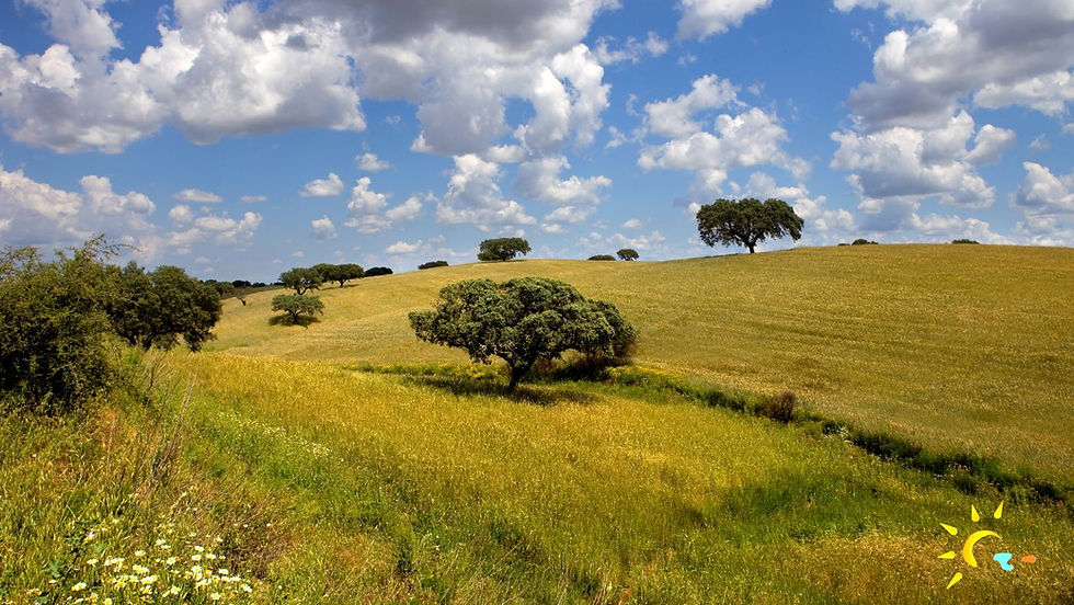 Geography of the Algarve Region
