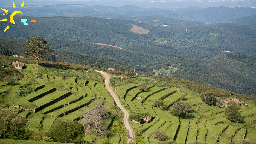 Monchique hill