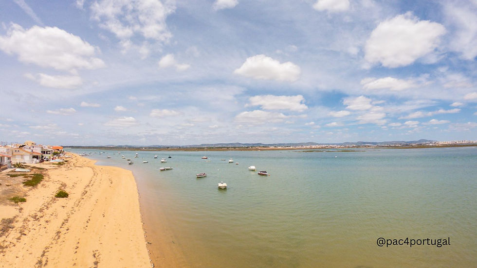 Things to Do at Praia de Faro