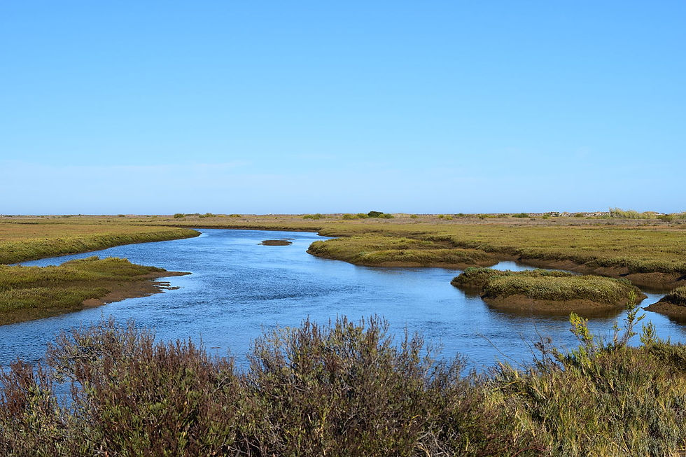 e Ria Formosa lagoon system