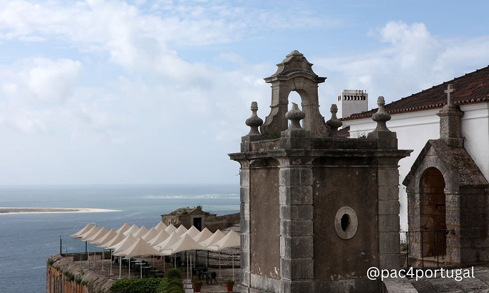 Boat Tour to the Troia Peninsula