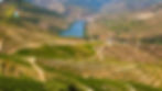 Best Times to Visit the Douro Valley