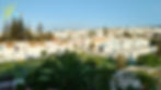 Local Attractions and History