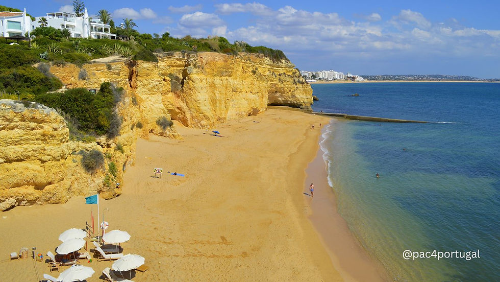 Praia da Cova Redonda