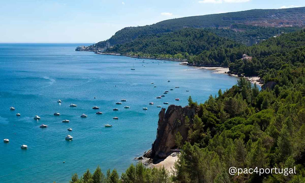 Setubal Travel Guide