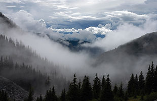 IMG_8938.JPG