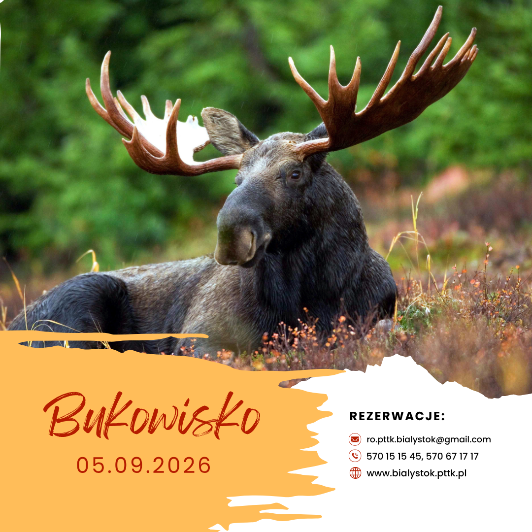 Bukowisko