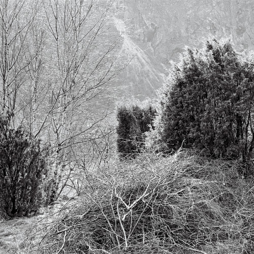 testbilde | Jens Hauge kunst