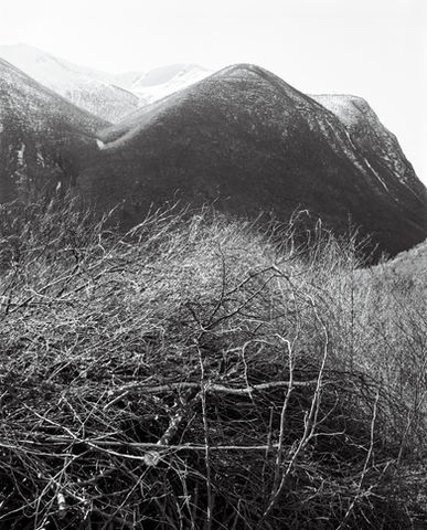 jens hauge kvist svart hvitt fotografi naturbilde gave utsmykning klassisk fotografi