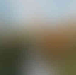 couple-mariage-octobre-justinewedding