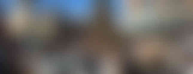 Santa Photo Ops with a Giant Christmas Tree