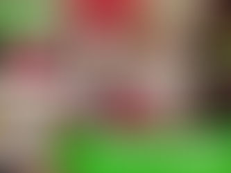 Creating Holiday Magic: A Recap of Santa Photos at Towers