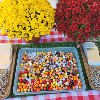 Fall Beadable Pens & Keychains