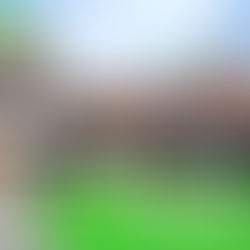 Bull Run Plaza’s Trick-or-Treat Success!: Delivering Spooky Smiles and Increased Foot Traffic