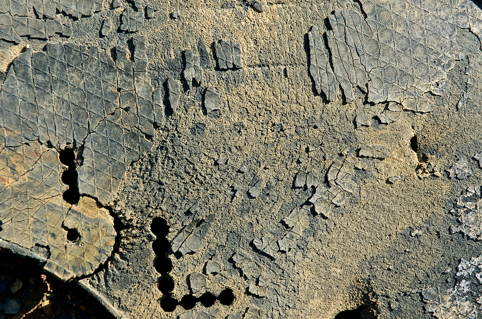 REMAINS 1.jpg