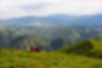 Shanxi Wutai Mountain: Where Temples Float on Mist and Time Moves Gently