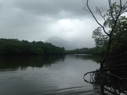 Un Tour en Australie