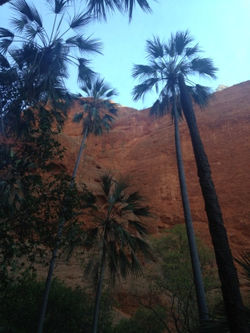 Un Tour en Australie