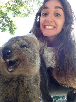 Un Tour en Australie