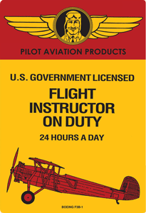 Flight instruction in your airplane or in a Piper J-5A.  Flight instructor sign can be bought at Aircraft Spruce and Specialty Company.