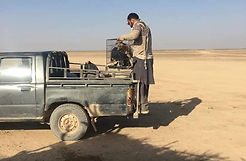 Mayhew veterinarian flees Afghanistan with his pet dog.jpg