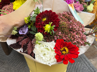 Why Local Flowers Are Worth Enjoying Before the First Frost