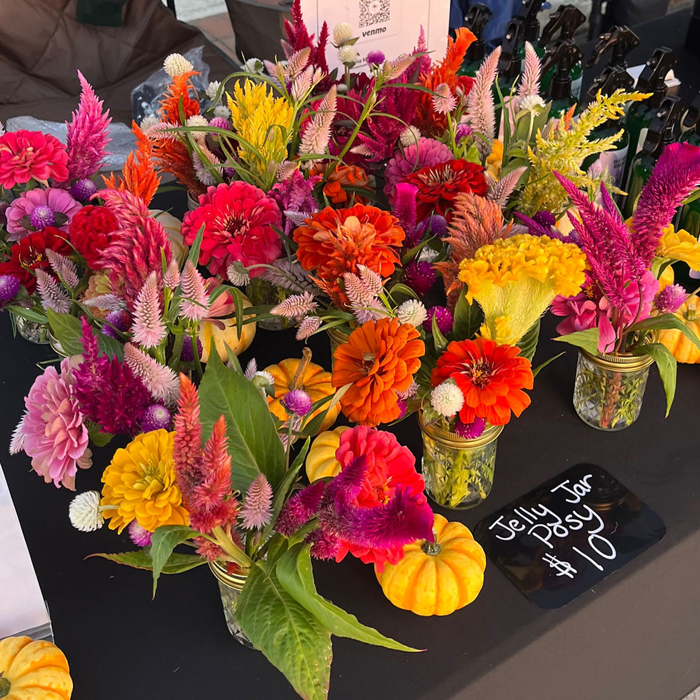 Why Buying Fresh Cut Flowers Near Me Supports Local Farms