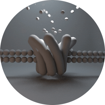 ezgif.com-video-to-gif-converter (2) (1).gif