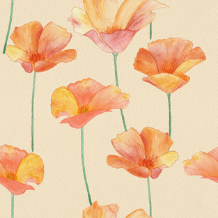 Pale apricot poppies design