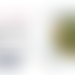 Family Favorite Italian Wedding Soup