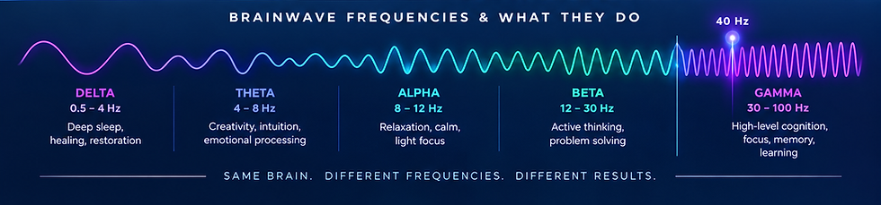TigerTone-Science-Brainwave-Chart-Crop-2026-10-06.png