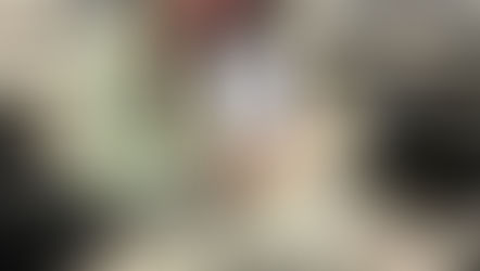 The Jugular's 2023-2024 Recap